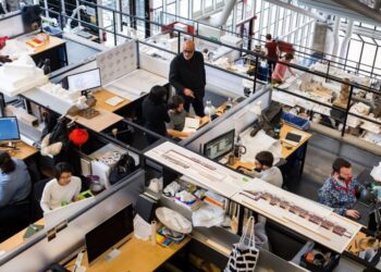 The Noun Crisis: Defining an Architect