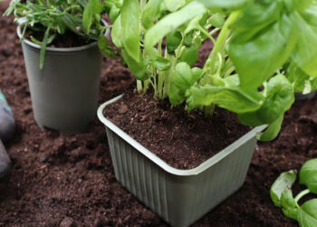 Bioplastics Manufacturer Gaia Biomaterials Secure $5 Million Rights Issue.