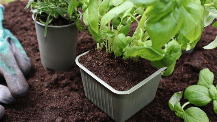 Bioplastics Manufacturer Gaia Biomaterials Secure $5 Million Rights Issue.