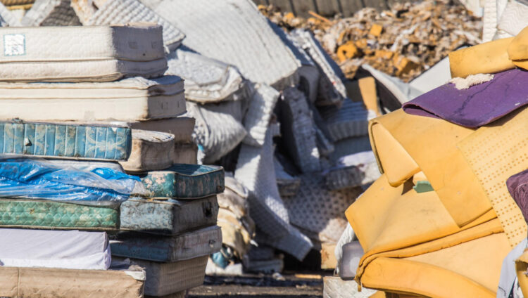 Ecomaison, Covestro, Secondly and Federal Eco Foam Launch Research Project